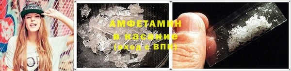 дурь Бородино