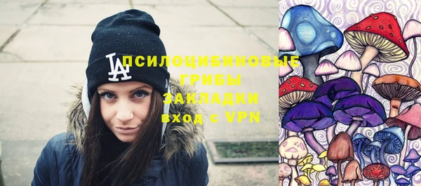 сатива Богородицк