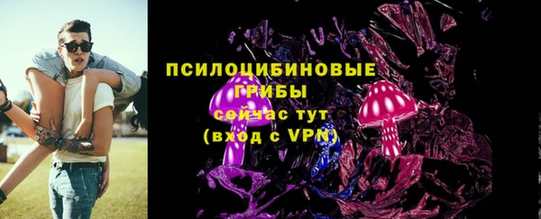 винт Богданович