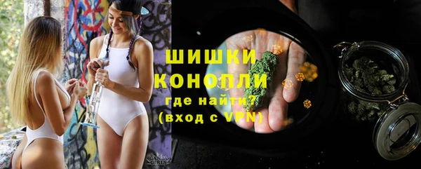 винт Богданович